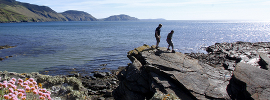 Niarbyl
