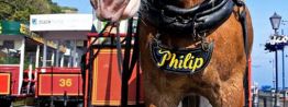 Horse tram